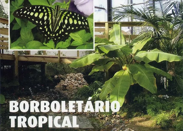 Casa Da * ヴィーラ・ノーヴァ・ダ・バルキーニャ